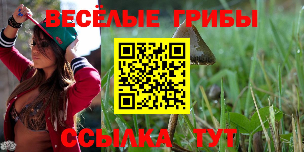 Галлюциногенные грибы прущие грибы Карталы