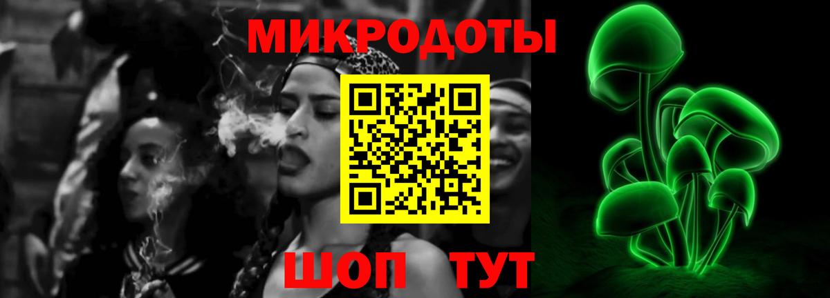 Карталы  Псилоцибиновые грибы прущие грибы  Галлюциногенные грибы мицелий  Вход с VPN 